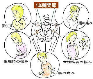 仙腸関節