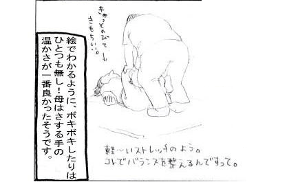 体験マンガ14