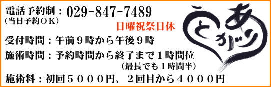 まずは電話で予約してください。 電話：０２９－８４７－７４８９ 日曜祝祭日休 受付時間：午前９時から午後９時 ※施術料４０００円（初回は他に+初見料１０００円が必要です。） 茨城県つくば市の無痛の整体療法 赤ひげ塾グループ・つくばバランス活性療法院きむら　ご来院希望の方はへ